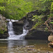 Elizabeth Ricketts Photo 29