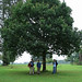 Jeanne Hatfield Photo 12