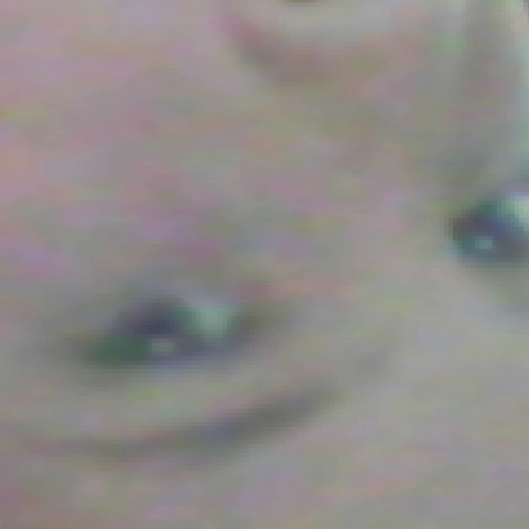 Dale Short Photo 36