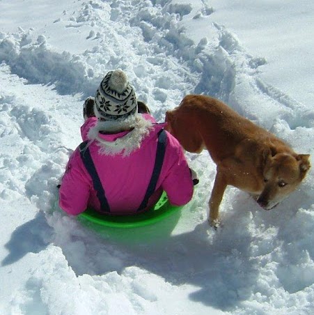 Joyce Kirkpatrick Photo 34