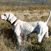 Glenda Bates Photo 24
