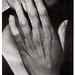 Robin Lippens Photo 1