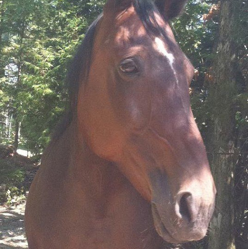 Misty Mcpherson Photo 9
