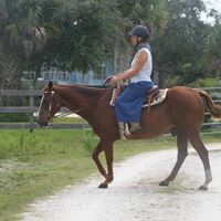 Debra Purdy Photo 8