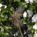 Robin Shook Photo 19