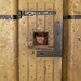 Ned Rich Photo 5