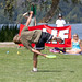 Rob Reid Photo 51
