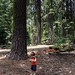 Matthew Forest Photo 11