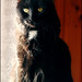 Shelly Little Photo 17