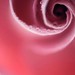 Sue Ray Photo 15