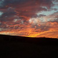 Maggie Jenkins Photo 21