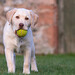 Jodie Brown Photo 16