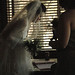 Alicia Rice Photo 20