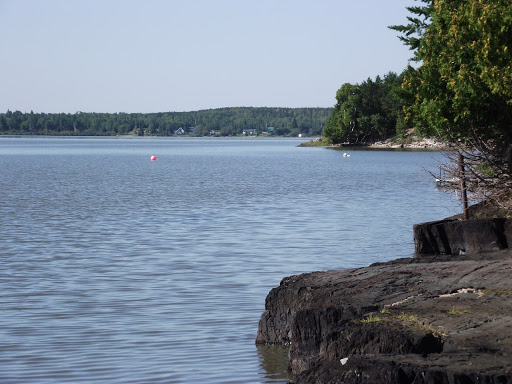 Cathy Tobin Photo 27