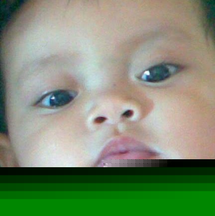 Si Fu Photo 12
