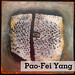 Pao Yang Photo 17