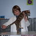 Dana Chamberlain Photo 24
