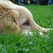 Aimee Lange Photo 6