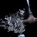 Crystal Sharp Photo 20