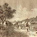 Kiem Trinh Photo 9
