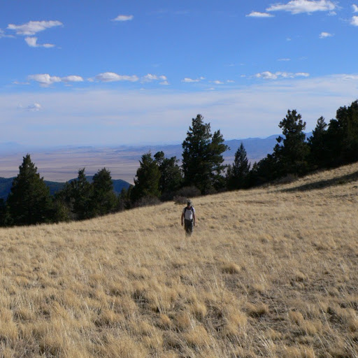 Brian Truitt Photo 5