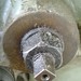Dusty Bowers Photo 2