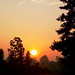 Ray Hillock Photo 3