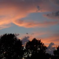 Forrest Smith Photo 24