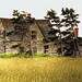 Edward Weathers Photo 12