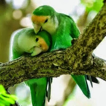 Terri Green Photo 26