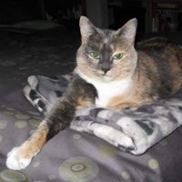 Theresa Grabowski Photo 17