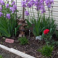 Michelle Elston Photo 8