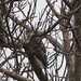 Donna Hawk Photo 9