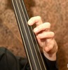 Tom Peterson Photo 10