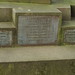 William Haslam Photo 10