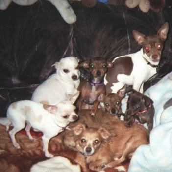 Sherry Harding Photo 17