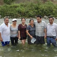 Manuel Criollo Photo 13