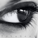Peter Lash Photo 18