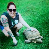 Lisa Vaillancourt Photo 32