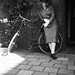 Jo Sanders Photo 15