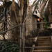David Witmer Photo 17