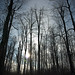 Tammy Winter Photo 5