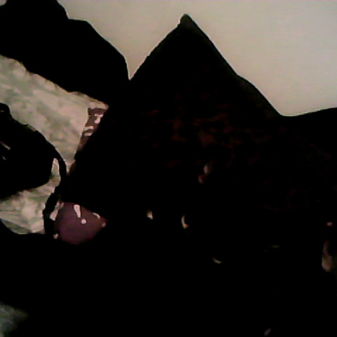 Elizabeth Scruggs Photo 24