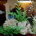 Jennifer Hoyt Photo 48