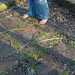 Cindy Moss Photo 26