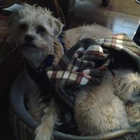 Debra Heffner Photo 10