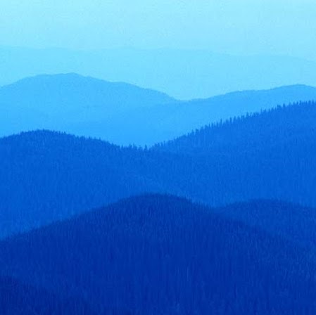 William Howarth Photo 17