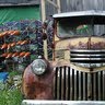 Anne Roberts Photo 38