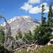 Shasta Gray Photo 12