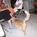 Susan Coons Photo 13